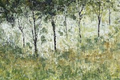 meadowgreen-42x42